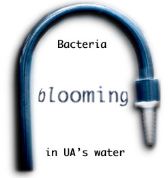 {Bacteria blooming in UAs water}