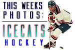 this weeks pix: ICECATS!