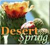 Desert spring