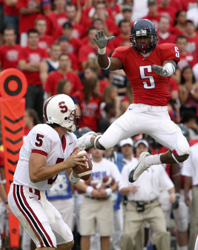 arizona wildcats photo