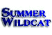 (SUMMER_WILDCAT