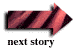 (NEXT_STORY)